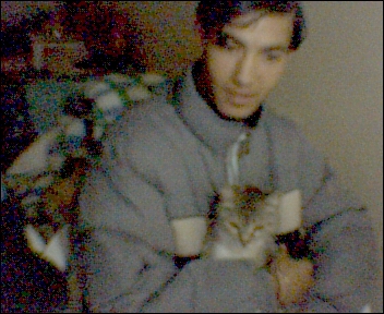 moi est mon chat mimo